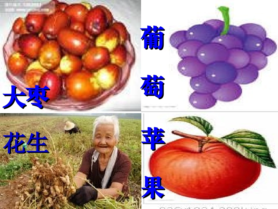 苹果丰收课件02_第3页