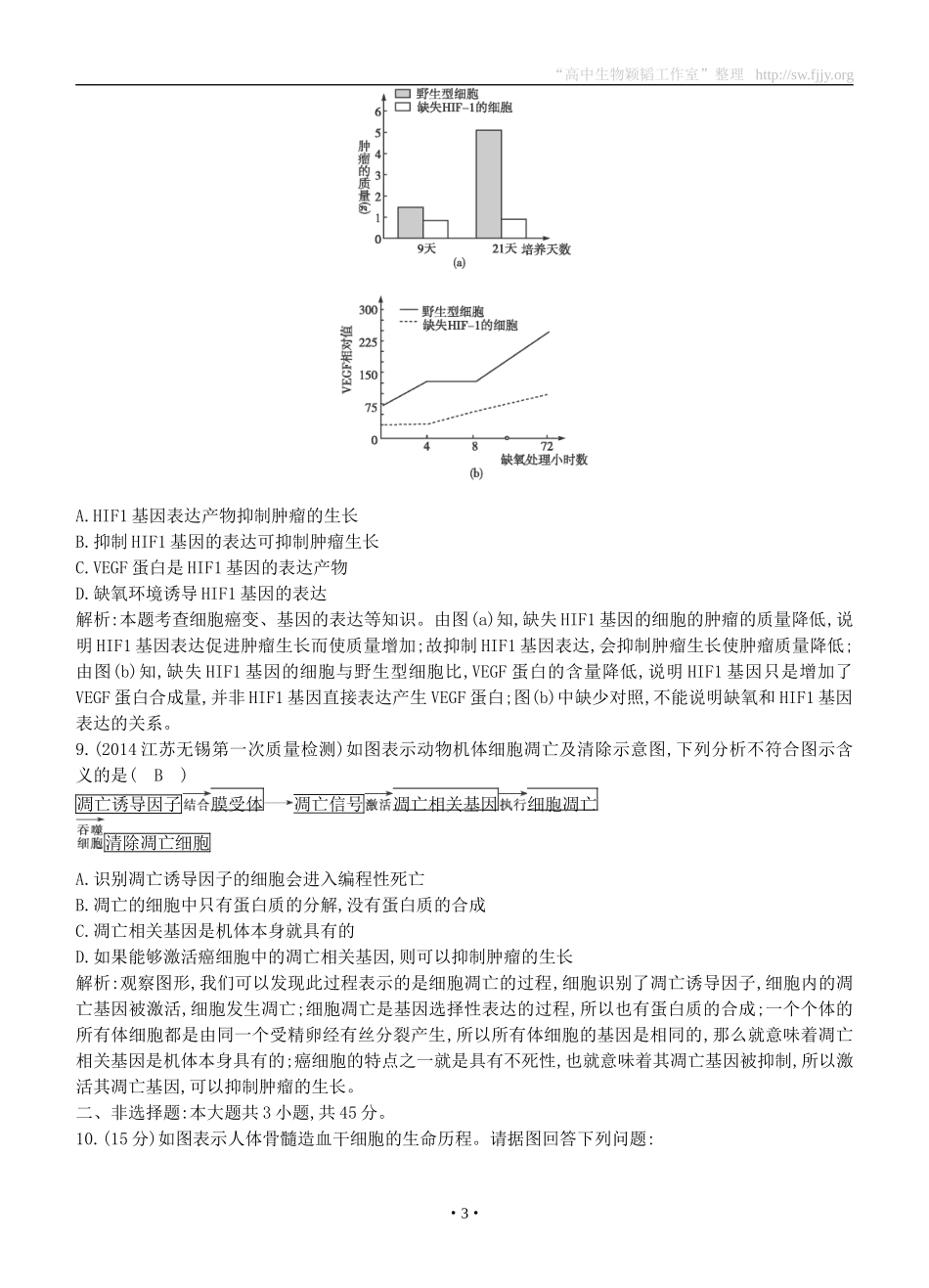 2015届高三生物总复习第四单元第13讲《细胞的分化、衰老、凋亡和癌变》课时训练（含解析）_第3页