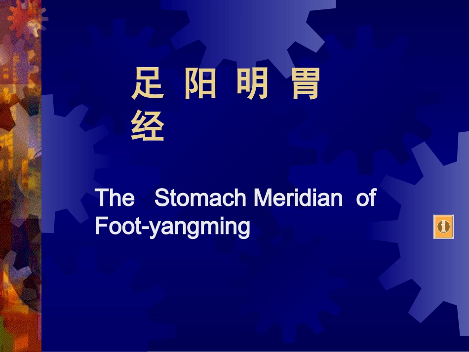 第五章 足阳明胃经(经腧2)_第1页