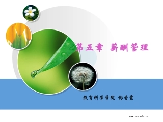 第五章 薪酬管理1