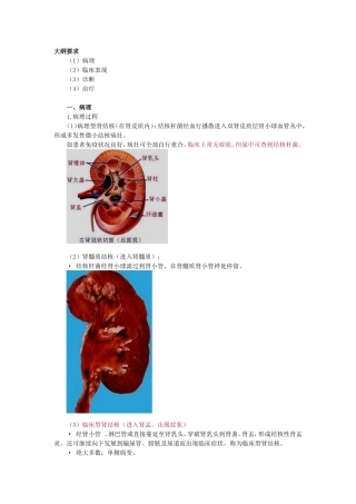 第五章 肾结核