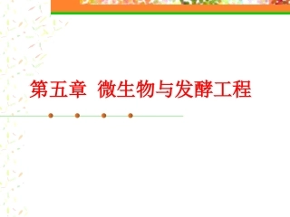 第五章 微生物与发酵工程