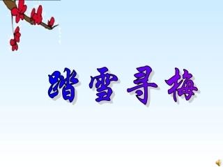 小学音乐踏雪寻梅2