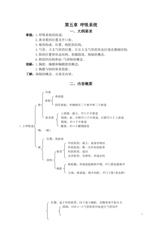 第五章 呼吸系统