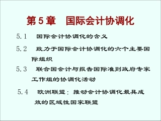 第五章 国际会计协调化