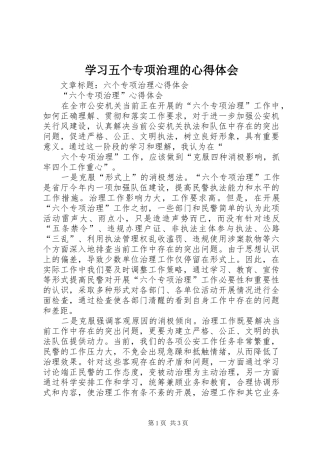 学习五个专项治理的心得体会 