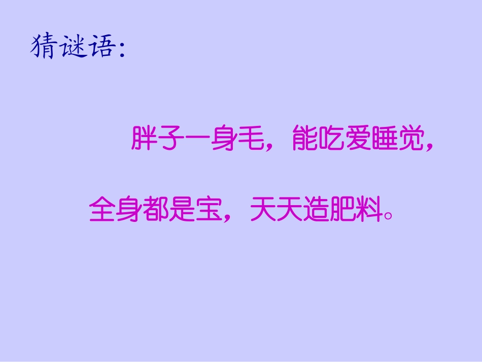 二年级二期《品德与生活》我和动物交朋友_第2页