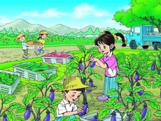 菜园里 (2)