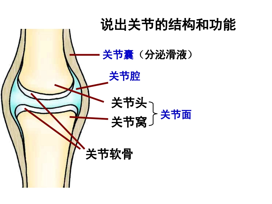 第二节 运动的完成_第2页