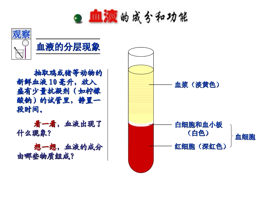 血液和血型课件沈发英_第3页