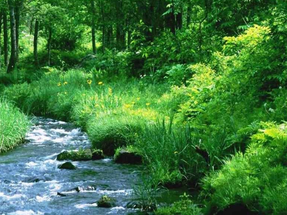 答谢中书书课件_第2页