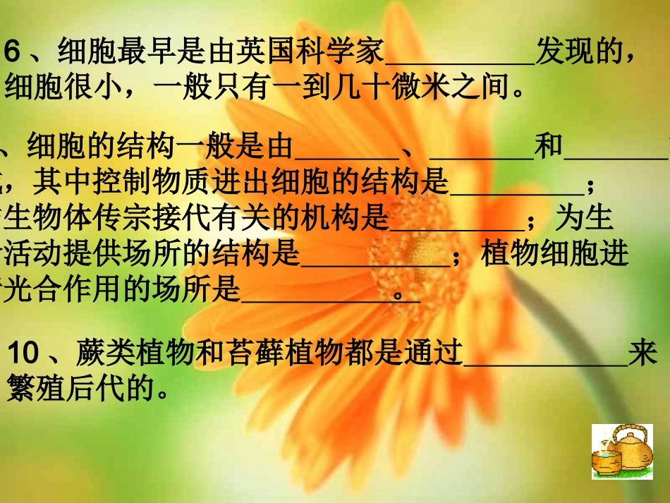 第二章观察生物复习练习_第2页