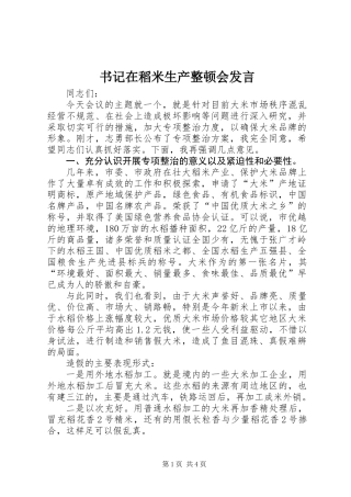 书记在稻米生产整顿会发言