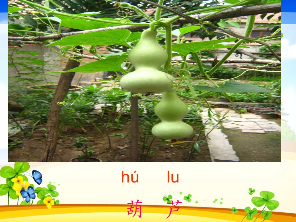 上课14我要的是葫芦_第2页