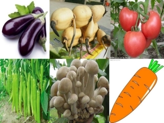 上课14我要的是葫芦