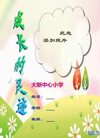小学生成长记录档案 (2)
