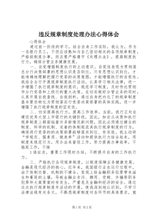 违反规章制度处理办法心得体会 