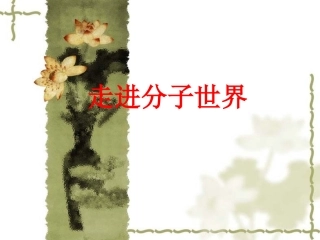 走进分子世界(韩新南课件)