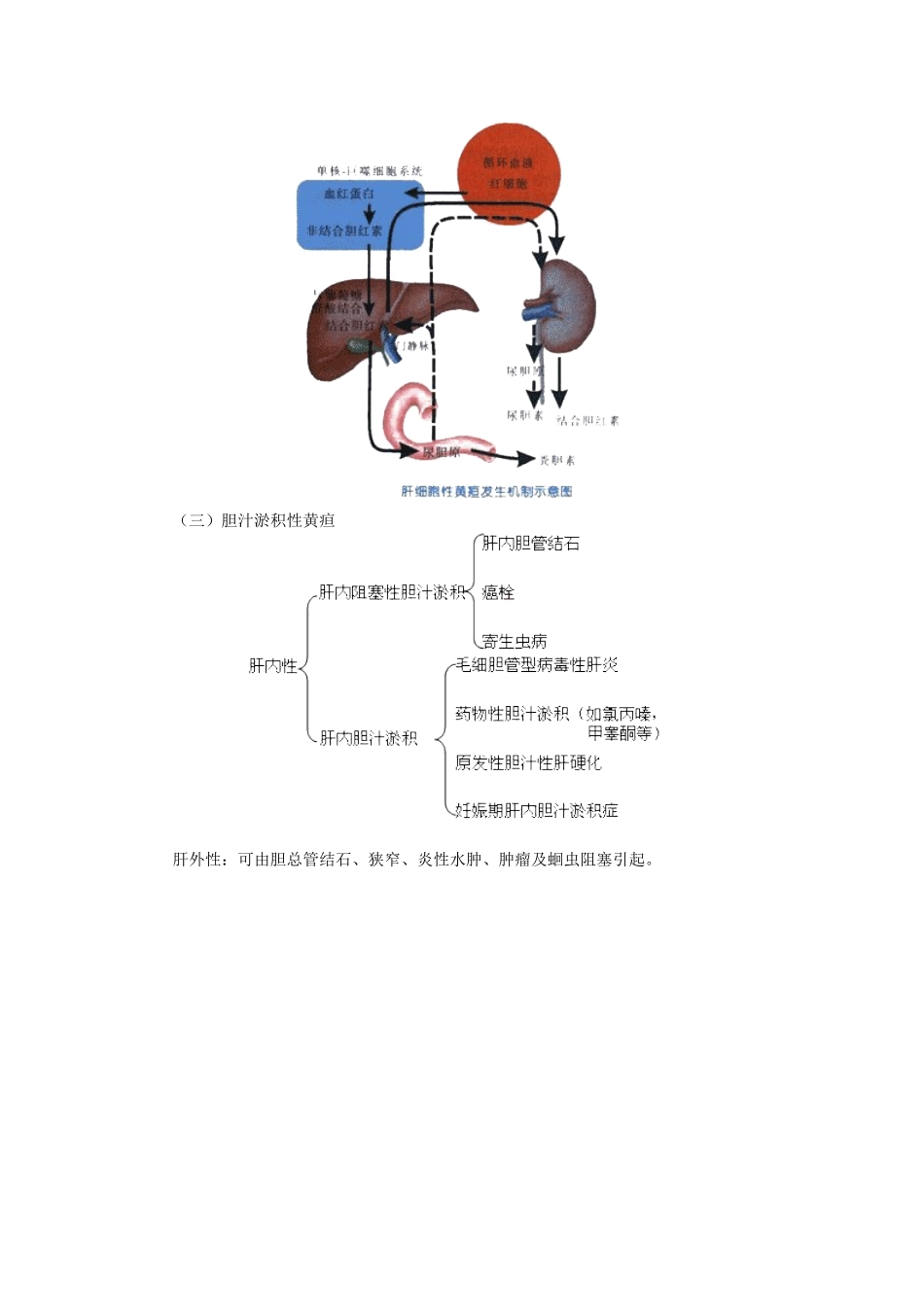 第二章 病史采集——黄 疸_第3页