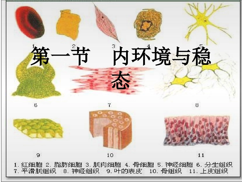 第二章 动物稳态的维持及其意义(gai)_第2页