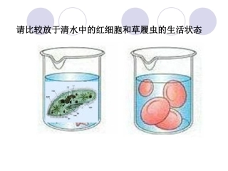 第二章 动物稳态的维持及其意义(gai)