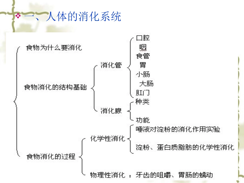 第二章 医学基础知识_第3页