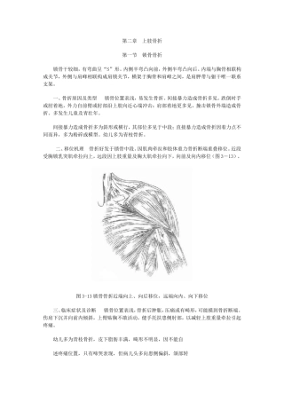 第二章 上肢骨折