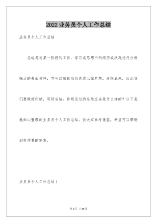 2024业务员个人工作总结_2