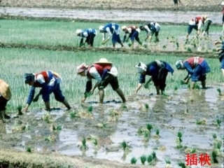 农业的变化真大第一课时公开课