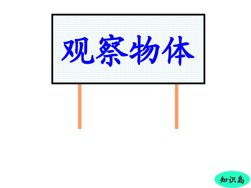 观察物体复习_第1页