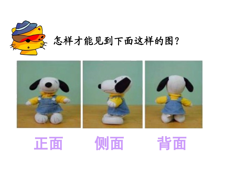 观察物体复习_第2页