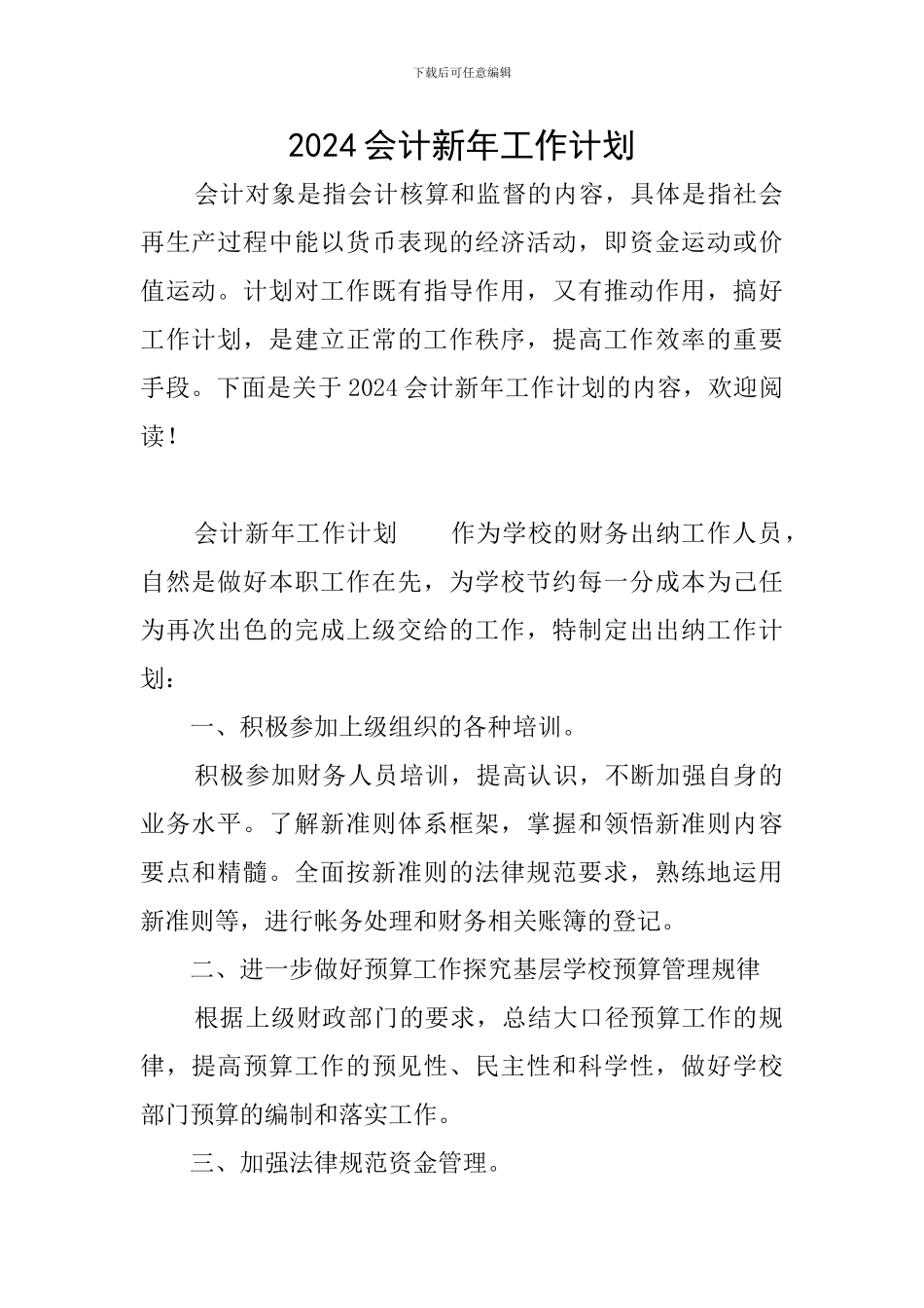 2024会计新年工作计划_第1页