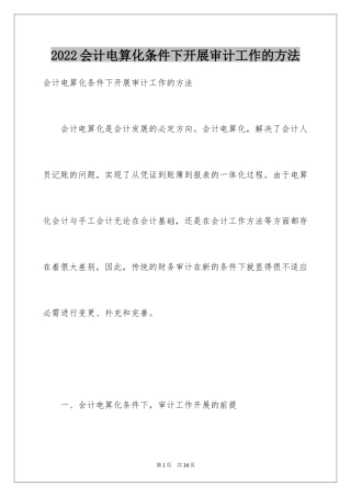2024会计电算化条件下开展审计工作的方法