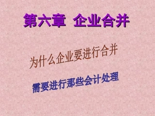 第二十五章 企业合并