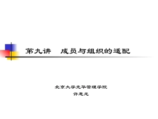 第九讲 成员与组织的匹配