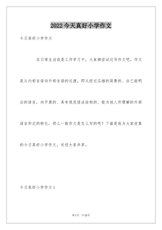 2024今天真好小学作文