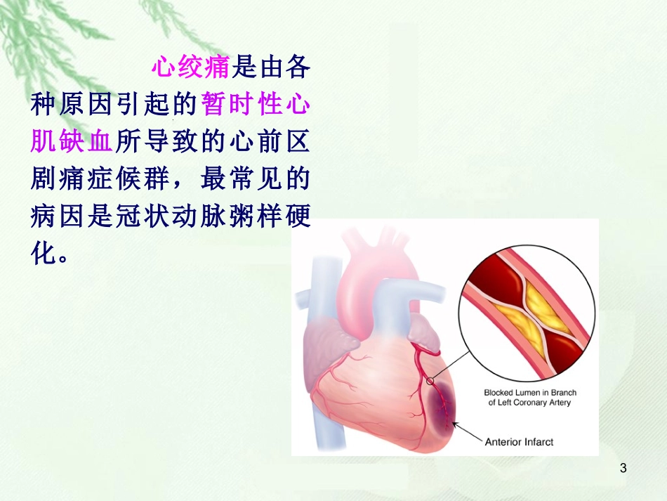 第九章 抗心绞痛药_第3页