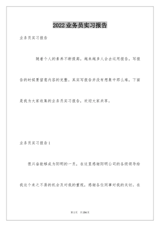 2024业务员实习报告_6