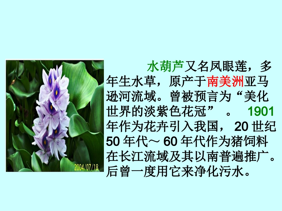 余建春生物入侵者_____公开课(定稿)_第2页