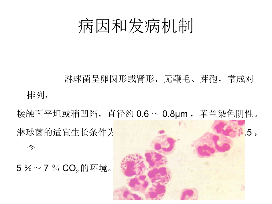 第三节  淋病_第3页