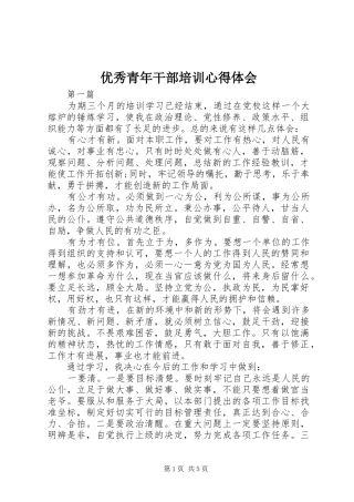 优秀青年干部培训心得体会 