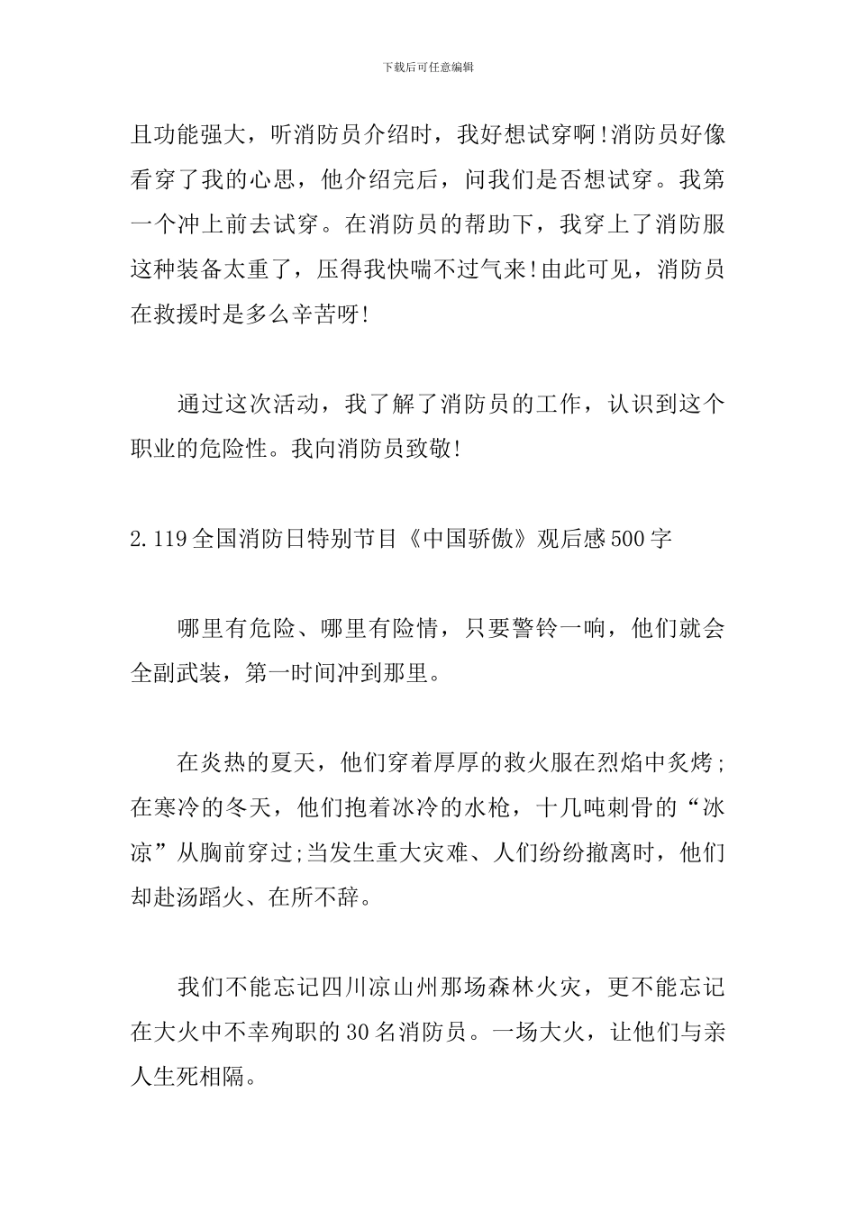 119全国消防日特别节目《中国骄傲》观后感500字5篇_第2页