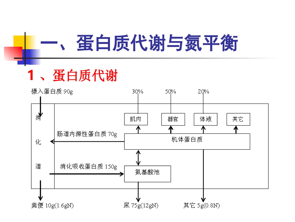 第三章第三节蛋白质_第2页