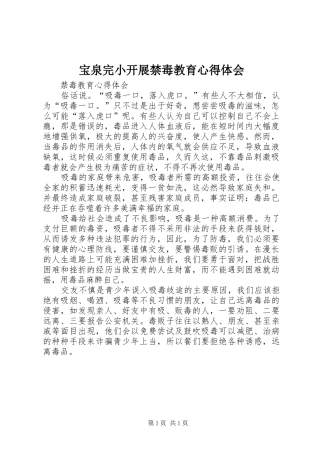 宝泉完小开展禁毒教育心得体会 