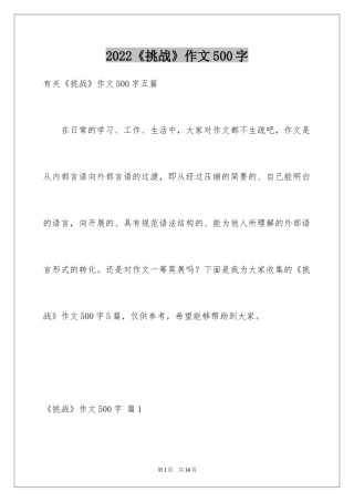 2024《挑战》作文500字