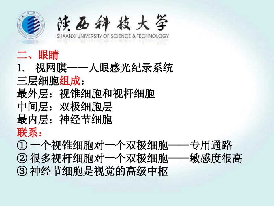 第三章 颜色视觉形成_第3页