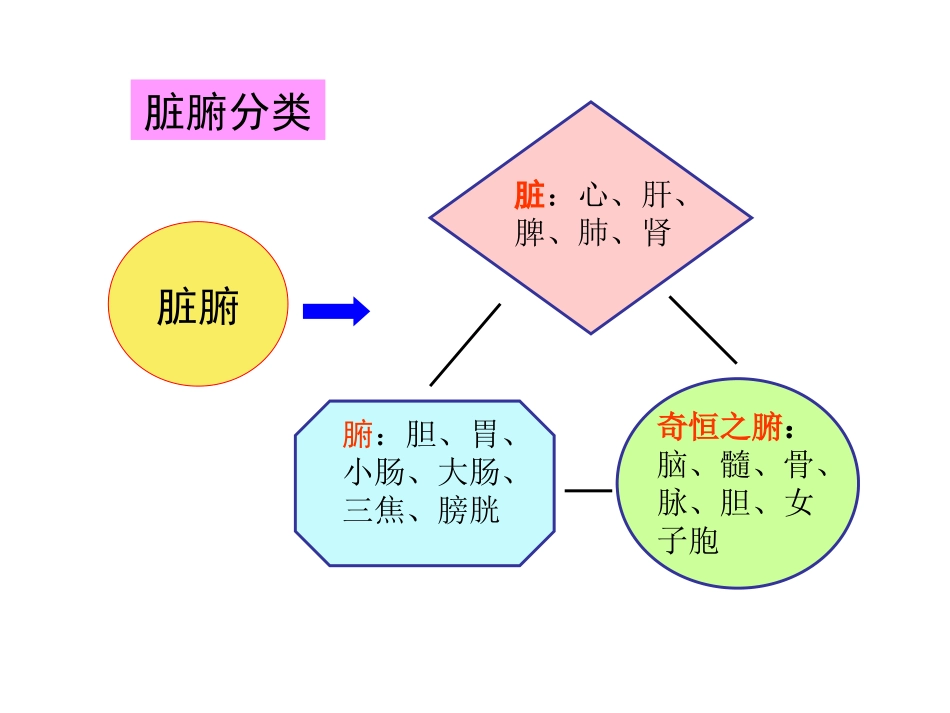 第三章 藏象1_第3页