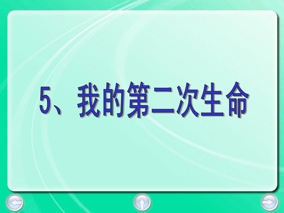 我的第二次生命_第3页