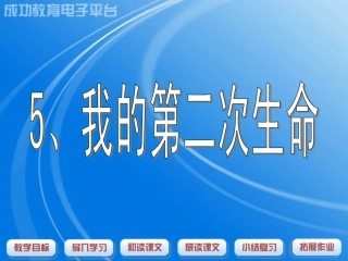 我的第二次生命