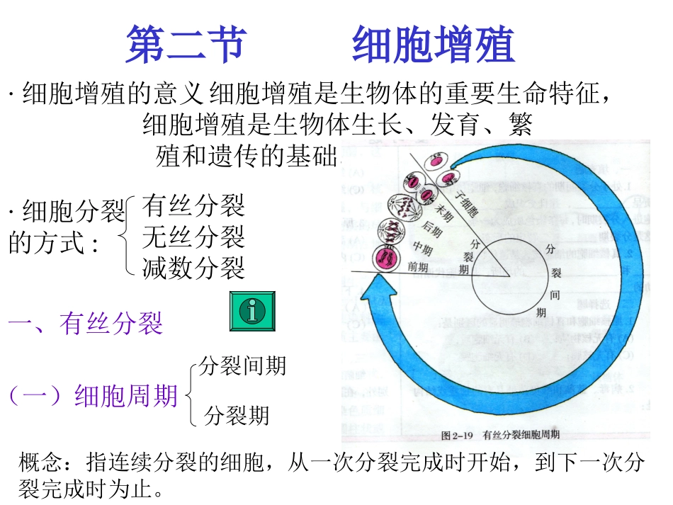 二2细胞增殖_第2页